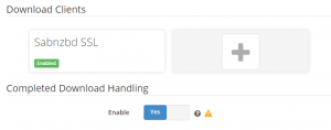 settings download client sabnzbd SSL green