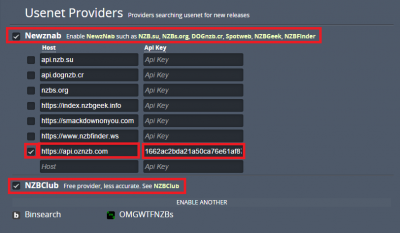 configure couchpotato usenet providers