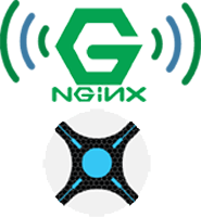 nginx-sonarr-nzbdrone-reverse proxy windows