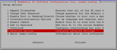 raspberry pi 8 advanced options