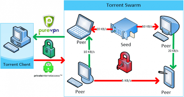 torrent diagram vpn safe