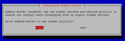 mumble server raspberry pi higher priority