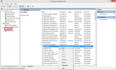 cherrymusic nssm windows service start