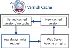 Warm up and Refresh Wordpress Varnish Cache Scripts