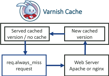 varnish-cache-always-miss-diagram