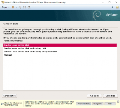 Install-Debian-Virtual-Machine-VM-Workstation-Player-step-12-partition-disks