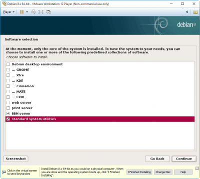 Install-Debian-Virtual-Machine-VM-Workstation-Player-step-22-choose-packages