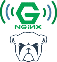 nginx-monit-reverse-proxy